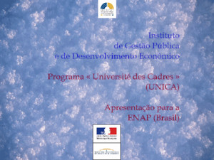 Instituto de Gestão Pública e de Desenvolvimento Econômico e de Desenvolvimento Econômico Programa « Université des Cadres » (UNICA) Programa « Université