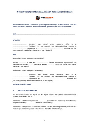 International Commercial Agency Agreement Sample Template