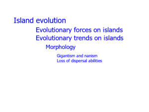 Island evolution Morphology Pringleophaga marioni, Marion Island Paractora dreuxi, Marion Island Lepidoptera: Tineidae Diptera: Helcomyzidae