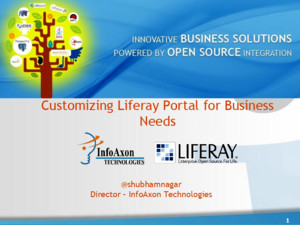 Liferay Portal Customizing to Business Needs