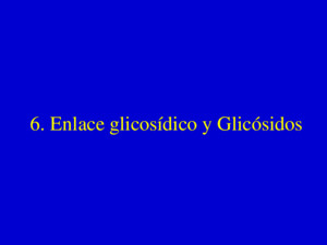 6 Enlace glicosídico y Glicósidos