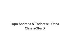 Lupo Andreea & Todorescu Oana Clasa a-XI-a D