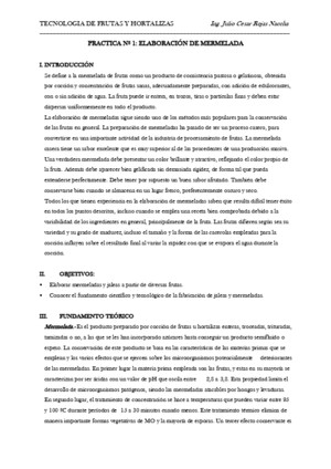 Manual de Practicas de Frutas y Hortalizas - Copy - Copy - Copy - Copy - Copy - Copy - Copy - Copy - Copy - Copy