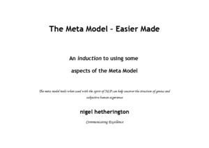 Meta Model-NLP Guide