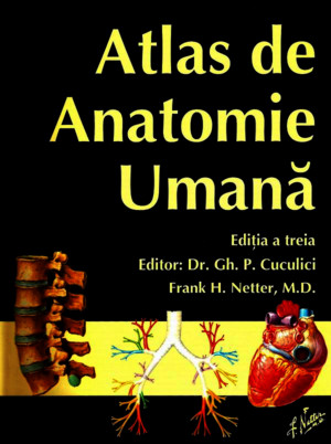 NETTER Atlas de Anatomie Umana Editia a Treia