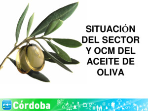 PP Córdoba: Situación Olivar