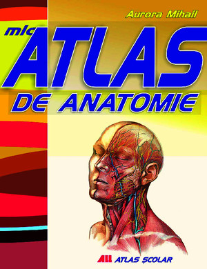 Preview Mic Atlas de Anatomie-Aurora Mihail--3454