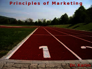 Principles of Marketing Ch 7