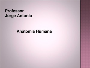 Professor Jorge Antonio Anatomia Humana Introdução ao Estudo da Anatomia Considerações gerais A Anatomia é a ciência que estuda, macro e microscopicamente,