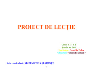 Proiect de Lectie Stiinte Cl4 Lectie Deschisa Cami
