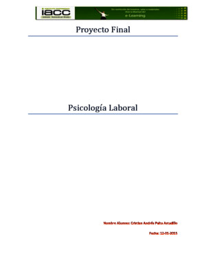 Proyecto Final Psicologia Laboral IACC
