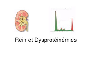 Rein et Dysprotéinémies Dysprotéinémies = Dysglobulinémies Prolifération dun clone de cellules productrices dImmunoglobulines –Excès dIg monoclonale