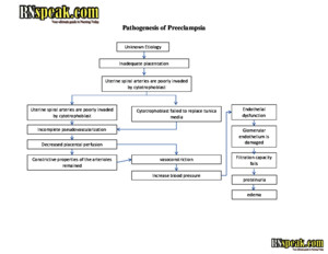 Preeclampsia Pathophysiology and Schematic Diagramdocx by RNspeakcom