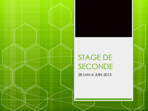 STAGE DE SECONDE 28 MAI-4 JUIN 2013 Objectifs du stage - Découvrir le monde du travail - Découvrir le fonctionnement dune entreprise : son organisation,