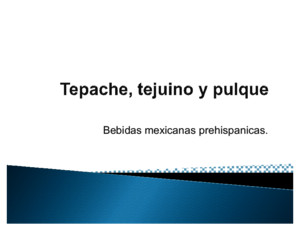 Tepache, Tejuino y Pulque